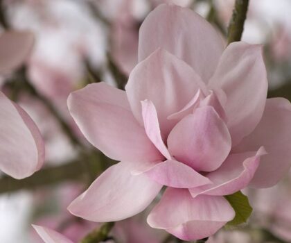 201324473_160337999458053_6836560281749639694_n