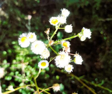 IMG_20250630_100912569